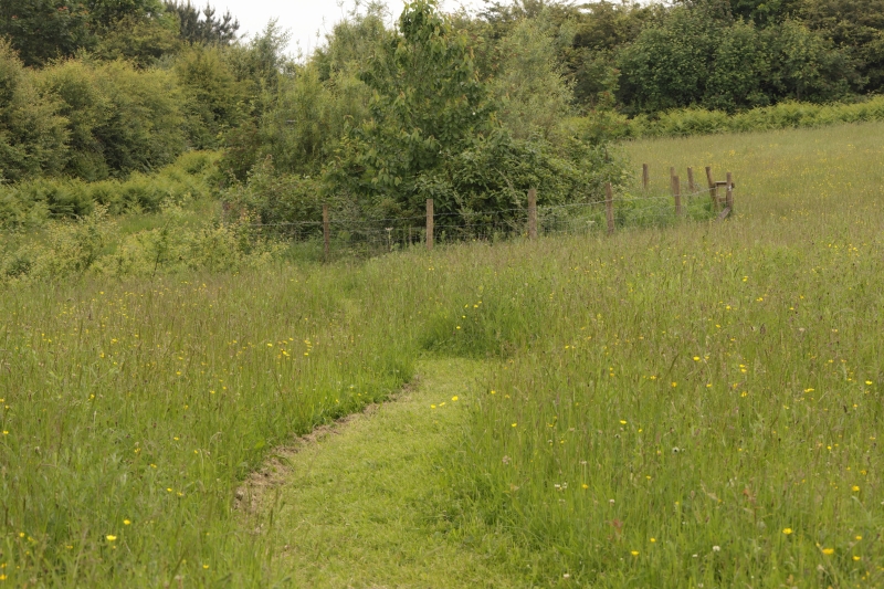 Gorse Hill Nature Reserve